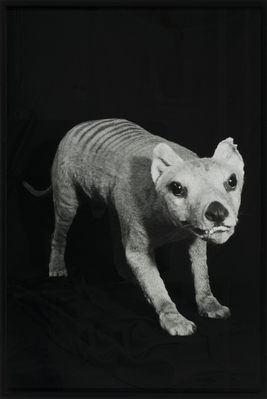 My Choice Exhibition Series