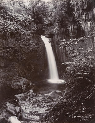 The Cave Falls, Wanganui River (54c)