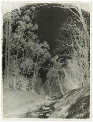 Black and white negative of a stream scene, with distant bridge