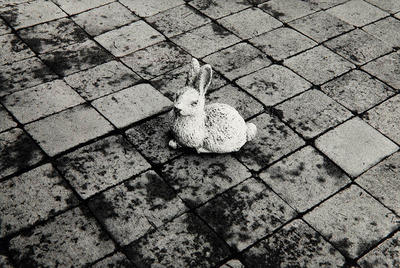 The Concrete Rabbit