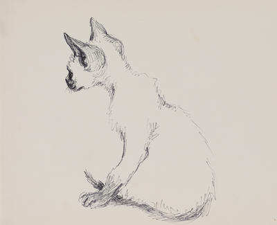 Untitled (Siamese kitten)
