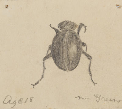 Untitled (Beetle)