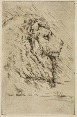 Vivian Smith; Untitled (Lion); 1933; 1988/27/367