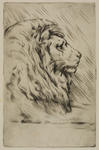 Untitled (Lion)