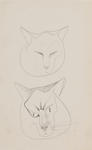 Untitled (Two cats heads)