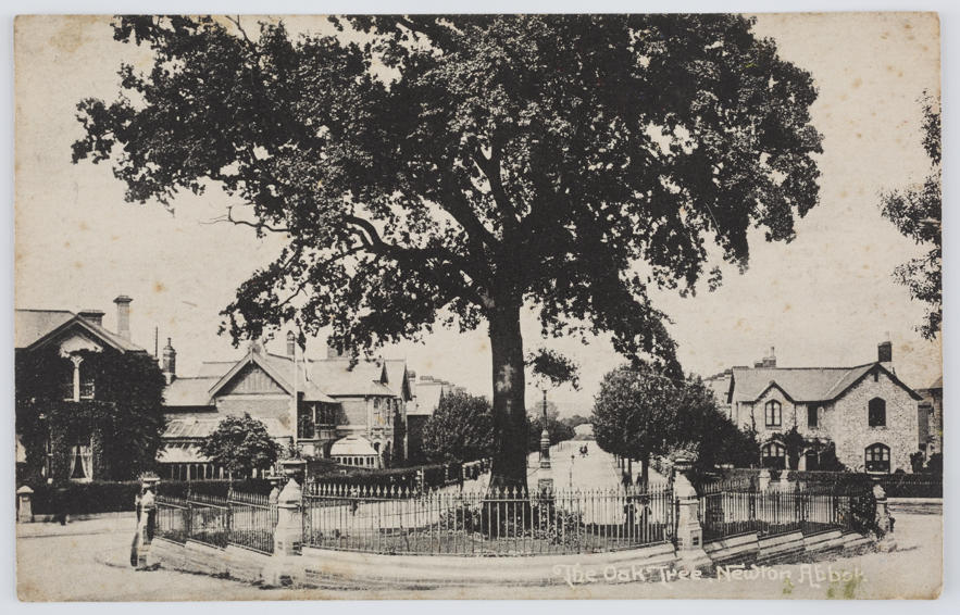 Postcard of the Oak Tree, Newton Abbot, From Margaret MacPherson to
